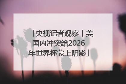 央视记者观察丨美国内冲突给2026年世界杯蒙上阴影