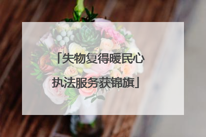 失物复得暖民心 执法服务获锦旗