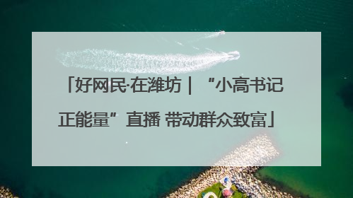 好网民·在潍坊｜“小高书记正能量”直播 带动群众致富