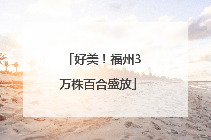 好美！福州3万株百合盛放