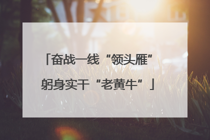 奋战一线“领头雁” 躬身实干“老黄牛”