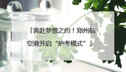奔赴梦想之约！郑州航空港开启“护考模式”