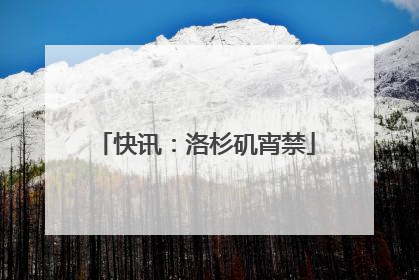 快讯：洛杉矶宵禁