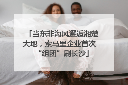 当东非海风邂逅湘楚大地，索马里企业首次“组团”刷长沙