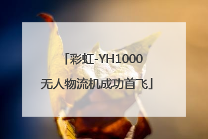 彩虹-YH1000无人物流机成功首飞