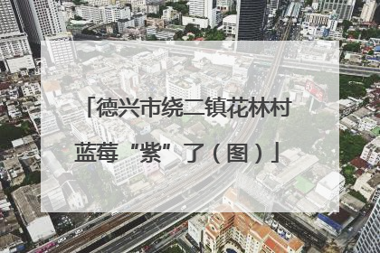 德兴市绕二镇花林村蓝莓“紫”了（图）