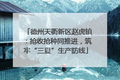 德州天衢新区赵虎镇：抢收抢种同推进，筑牢“三夏”生产防线