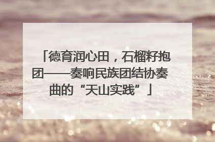 德育润心田，石榴籽抱团——奏响民族团结协奏曲的“天山实践”
