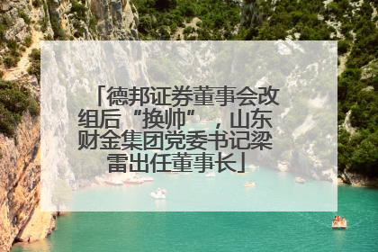 德邦证券董事会改组后“换帅”，山东财金集团党委书记梁雷出任董事长