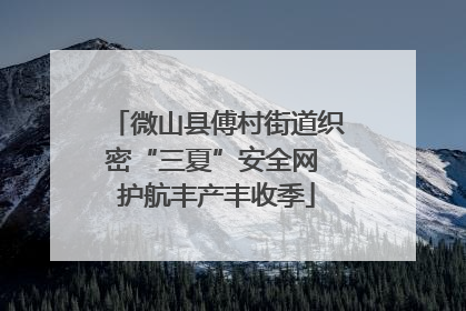 微山县傅村街道织密“三夏”安全网 护航丰产丰收季