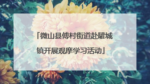 微山县傅村街道赴驩城镇开展观摩学习活动