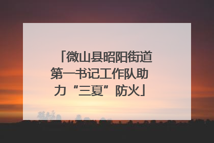 微山县昭阳街道第一书记工作队助力“三夏”防火