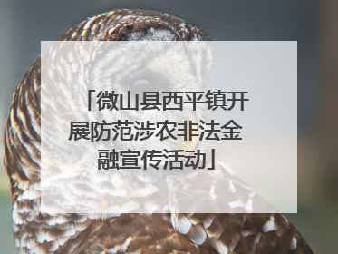 微山县西平镇开展防范涉农非法金融宣传活动