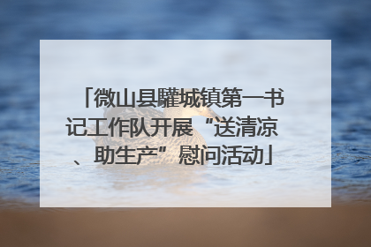 微山县驩城镇第一书记工作队开展“送清凉、助生产”慰问活动