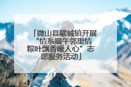 微山县驩城镇开展“情系端午邻里情 粽叶飘香暖人心”志愿服务活动