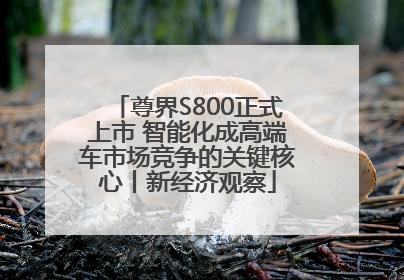 尊界S800正式上市 智能化成高端车市场竞争的关键核心丨新经济观察