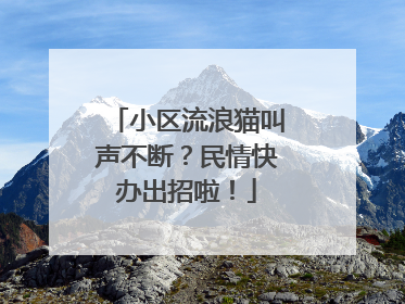 小区流浪猫叫声不断？民情快办出招啦！