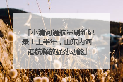 小清河通航量刷新纪录！上半年，山东内河港航释放强劲动能
