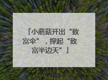 小蘑菇开出“致富伞”，撑起“致富半边天”