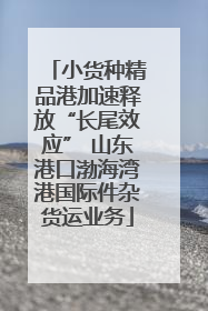 小货种精品港加速释放“长尾效应” 山东港口渤海湾港国际件杂货运业务