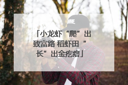 小龙虾“爬”出致富路 稻虾田“长”出金疙瘩
