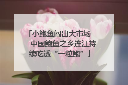 小鲍鱼闯出大市场——中国鲍鱼之乡连江持续吃透“一粒鲍”