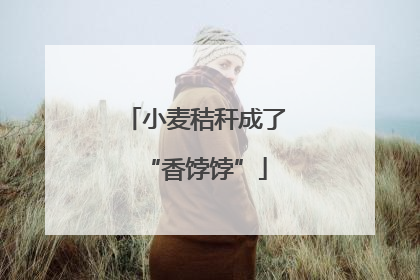 小麦秸秆成了“香饽饽”