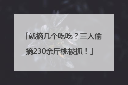 就摘几个吃吃？三人偷摘230余斤桃被抓！