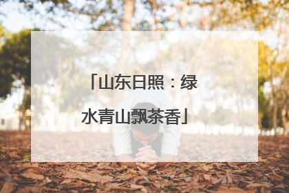 山东日照：绿水青山飘茶香