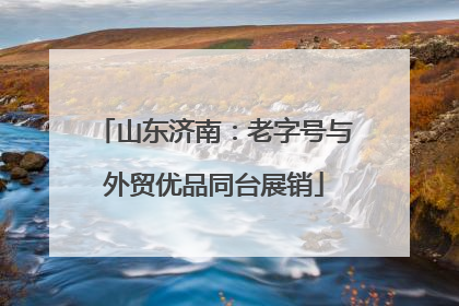 山东济南：老字号与外贸优品同台展销