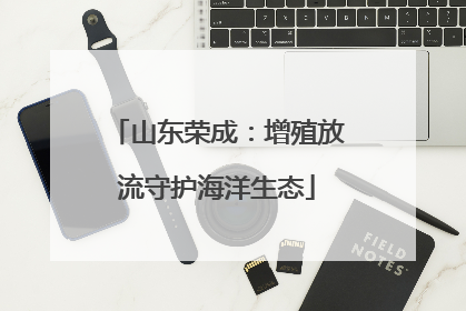 山东荣成：增殖放流守护海洋生态