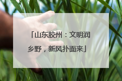 山东胶州：文明润乡野，新风扑面来