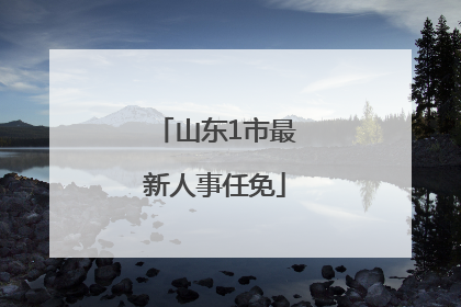 山东1市最新人事任免