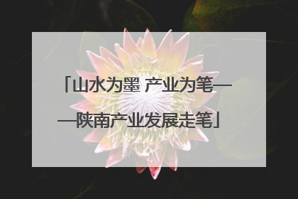 山水为墨 产业为笔——陕南产业发展走笔