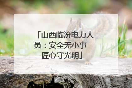 山西临汾电力人员:安全无小事 匠心守光明
