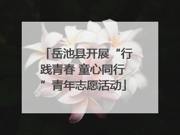 岳池县开展“行践青春 童心同行”青年志愿活动