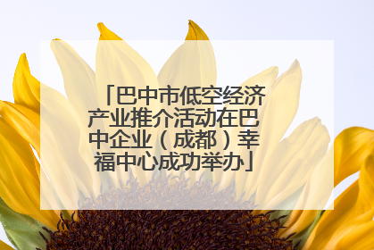 巴中市低空经济产业推介活动在巴中企业（成都）幸福中心成功举办