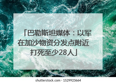 巴勒斯坦媒体：以军在加沙物资分发点附近打死至少28人
