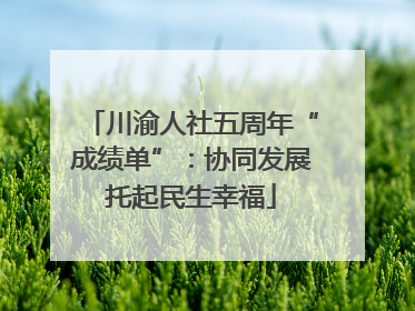 川渝人社五周年“成绩单”：协同发展托起民生幸福