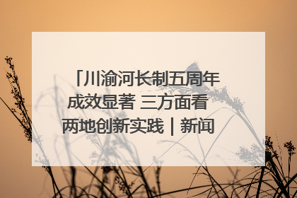川渝河长制五周年成效显著 三方面看两地创新实践｜新闻发布最前线