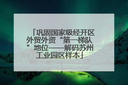 巩固国家级经开区外贸外资“第一梯队”地位——解码苏州工业园区样本
