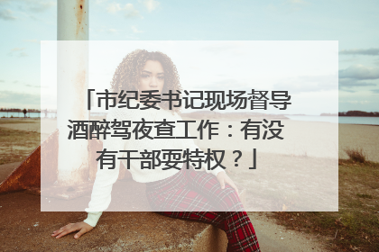 市纪委书记现场督导酒醉驾夜查工作：有没有干部耍特权？