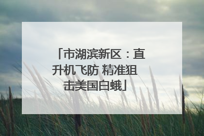 市湖滨新区：直升机飞防 精准狙击美国白蛾