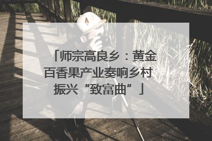 师宗高良乡：黄金百香果产业奏响乡村振兴“致富曲”
