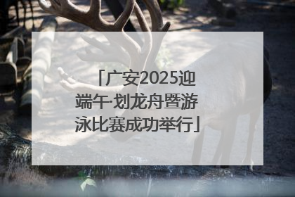 广安2025迎端午·划龙舟暨游泳比赛成功举行