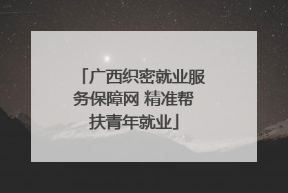 广西织密就业服务保障网 精准帮扶青年就业