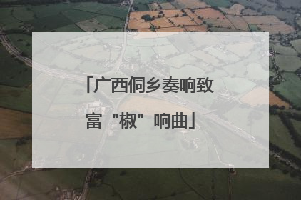广西侗乡奏响致富“椒”响曲
