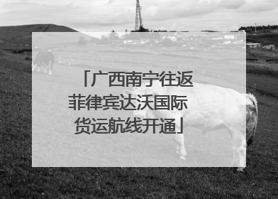 广西南宁往返菲律宾达沃国际货运航线开通