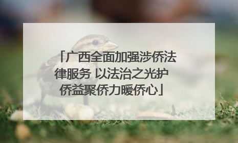 广西全面加强涉侨法律服务 以法治之光护侨益聚侨力暖侨心