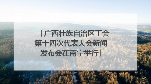 广西壮族自治区工会第十四次代表大会新闻发布会在南宁举行